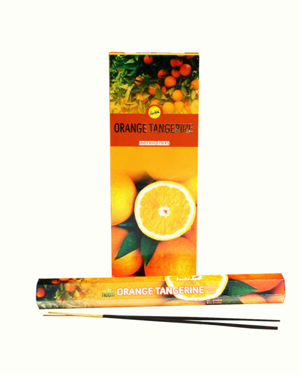 INCENSI  ARANCIO  (marche assortitte) (6 p. esag x 20 sticks)