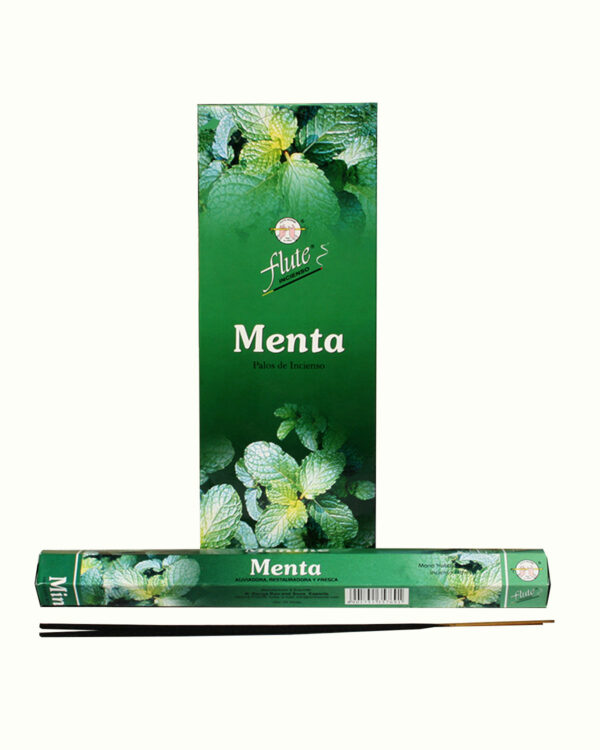 INCENSI  MENTA (marche assortite) ( 6 p. esag. X 20 sticks )