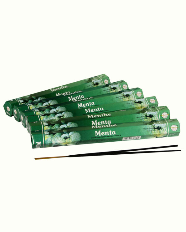 INCENSI  MENTA (marche assortite) ( 6 p. esag. X 20 sticks )