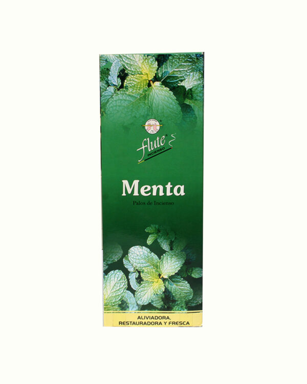 INCENSI  MENTA (marche assortite) ( 6 p. esag. X 20 sticks )