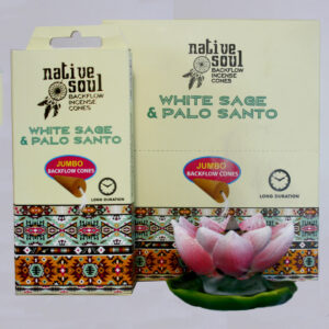 INCENSI IN CONO BACKFLOW NATIVE SOUL PALO SANTO E SALVIA BIANCA (12 box x 8 coni maxi)