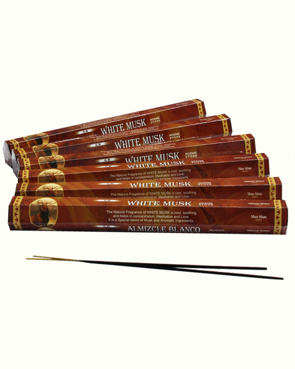 INCENSI  MUSCHIO BIANCO (marche assortite) ( 6 p. esag. X 20 sticks )